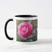 rosa cor-de-rosa