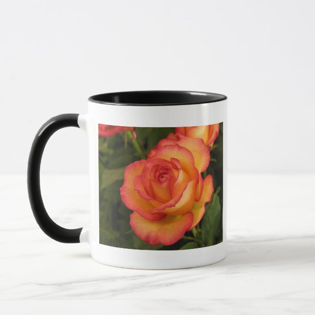 Caneca Rosa laranja (Esquerda)