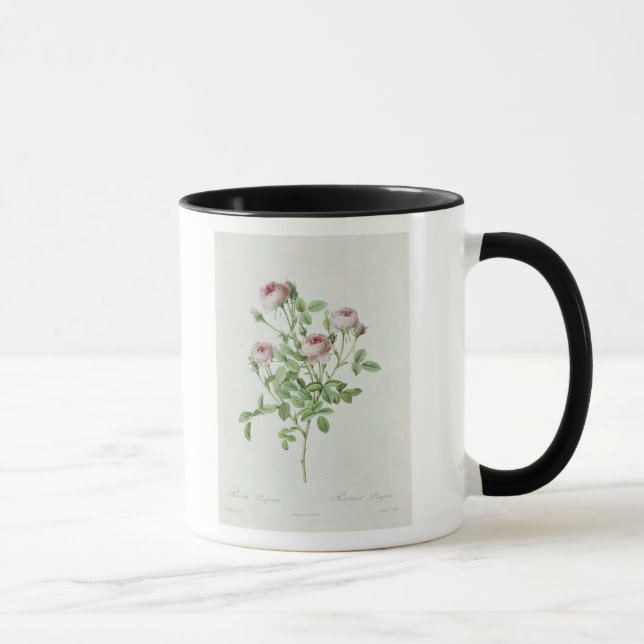 Caneca Rosa Pomponia, 'dos rosas de Les (Direita)