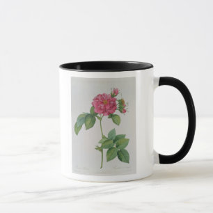 Caneca Rosa Turbinata, de, Les Roses', Vol 1, 1817