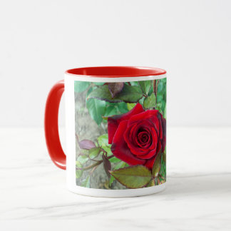 Caneca Rosa vermelha da ventoinha