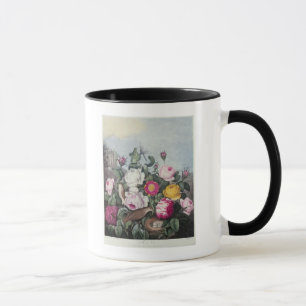 Caneca Rosas, 'do templo de Flora