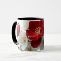 rosas silvestres vermelhas e brancas