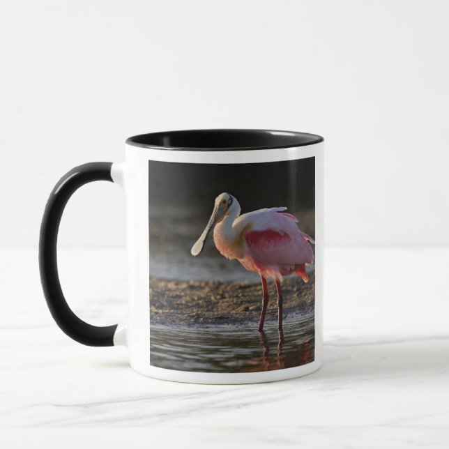 Caneca Roseate Spoonbill, Ajaia ajaja, Querido Ding (Esquerda)