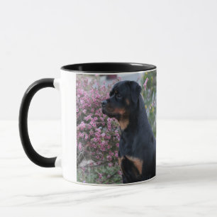 Caneca Rottweiler