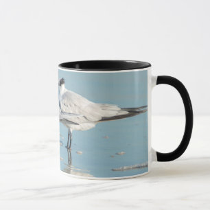 Caneca Royal Terns na praia