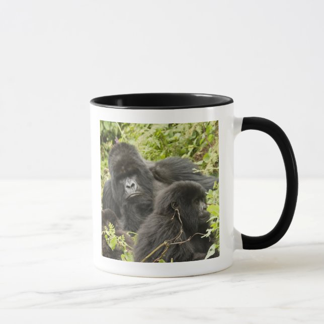 Caneca Ruanda, Parque Nacional dos Vulcões (Direita)