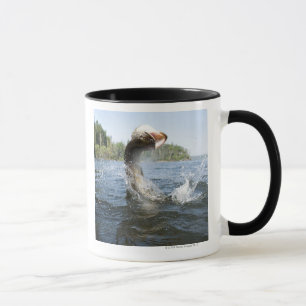 Caneca Saltar de Pike do norte da água em um lago