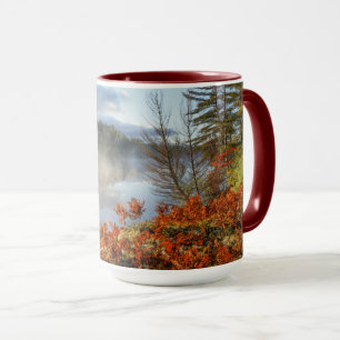Caneca Samambaia na costa   Paradise, Michigan
