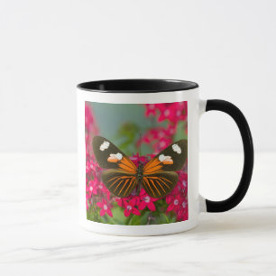 Caneca Sammamish Washington Fotografia de Borboleta em 14
