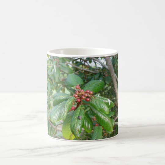 Caneca Sanguinho