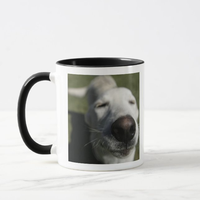 Caneca Santa Fé, Novo México (Esquerda)