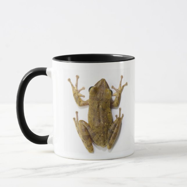 Caneca Sapo de árvore Dourado (Esquerda)