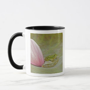Caneca Sapo e pétala de flor de lótus, China,