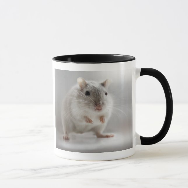 CANECA SATISFEITO PARA ENCONTRÁ-LO (Direita)