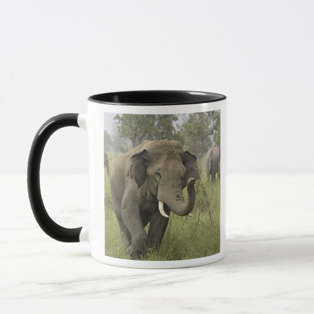 Caneca Saudação do Elefante Asiático Indiano (Esquerda)