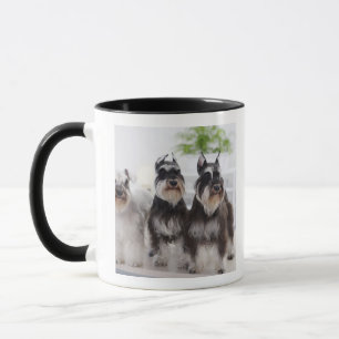 Caneca Schnauzers diminutos que estão na borda da mesa