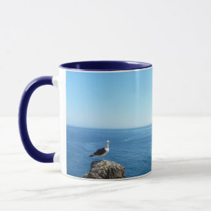 Caneca Seagull na Ilha de Anacapa nas Ilhas do Canal