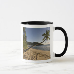 Caneca Seicheles, ilha Mahe, praia de Anse Takamaka,