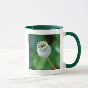 Caneca Semente de Cabeça de Flor de Papoula, Cabo Ocident
