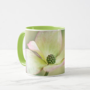 Caneca Senhorita Satomi' de Kousa do Cornus da flor do