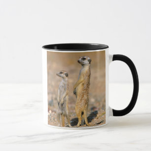 Caneca Sentinelas do Meerkat (Suricata Suricatta), Karas