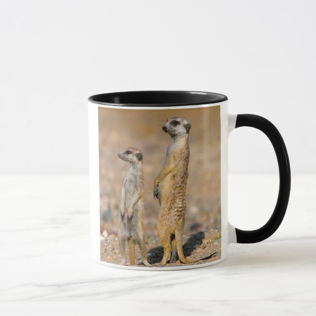 Caneca Sentinelas do Meerkat (Suricata Suricatta), Karas (Direita)