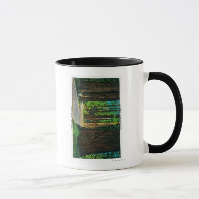 Caneca Sequoia Redwood no Parque Estadual de Humboldt de  (Direita)