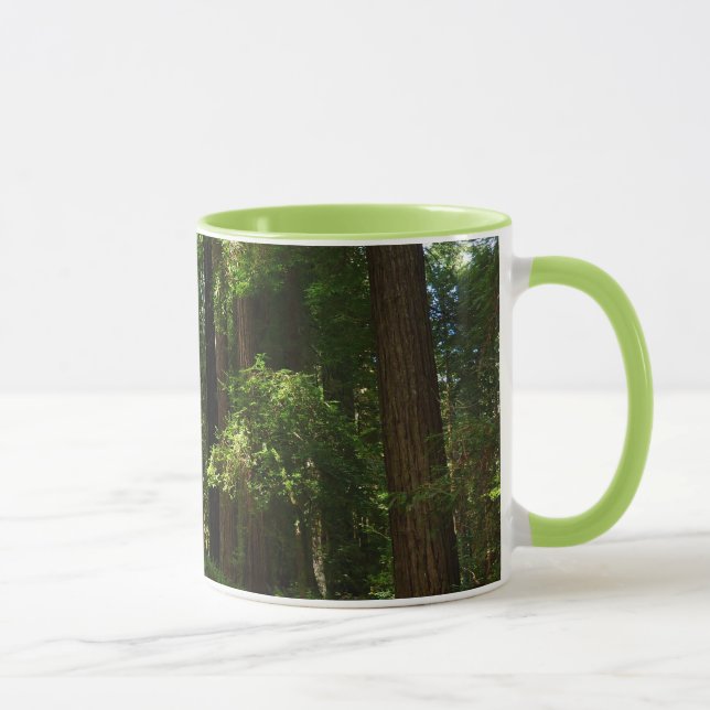 Caneca Sequóias e Samambaias no Parque Nacional de Redwoo (Direita)