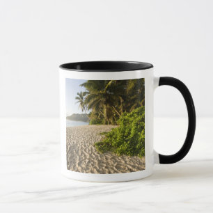 Caneca Seychelles, Ilha de Mahe, Anse Marie-Louise