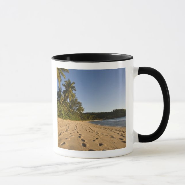 Caneca Seychelles, Ilha de Mahe, praia de Anse Takamaka,  (Direita)