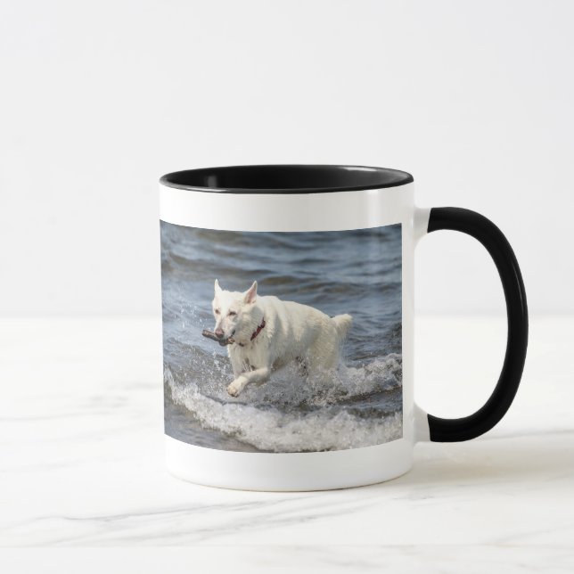 Caneca Shepard alemão branco no lago George (Direita)