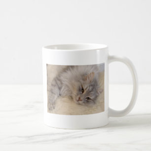 Caneca Siberian do gato