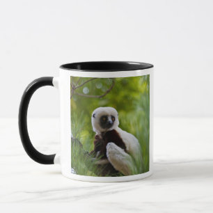 Caneca Sifaka de Coquerel na floresta 2