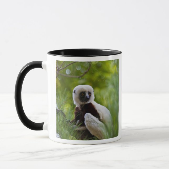 Caneca Sifaka de Coquerel na floresta 2 (Esquerda)