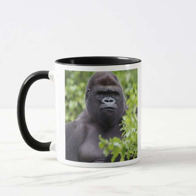 Caneca Silverback Lowland Gorilla, Gorilla gorilla (Esquerda)