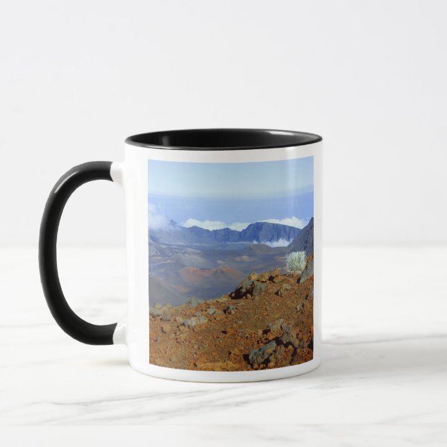 Caneca Silversword no cume da cratera Haleakala a partir  (Esquerda)
