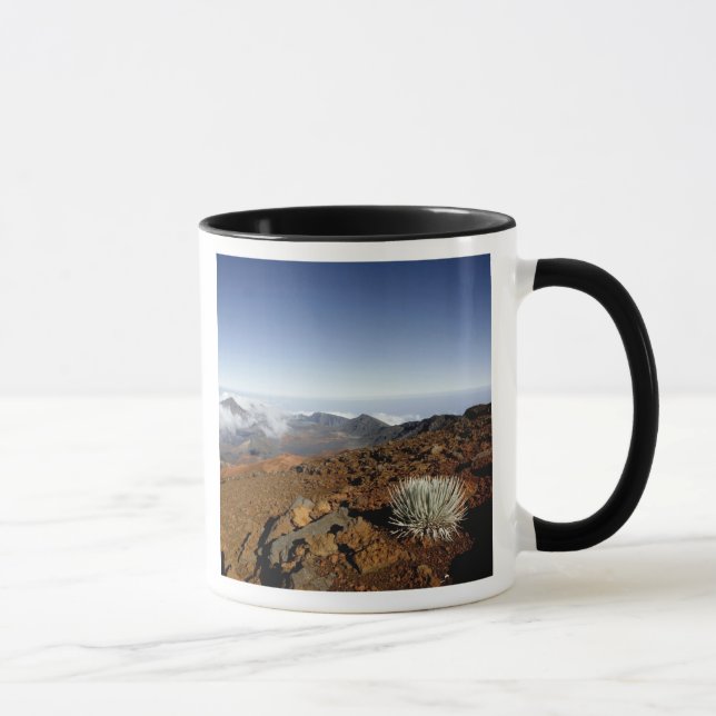 Caneca Silversword no cume da cratera Haleakala de perto (Direita)