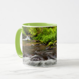 Caneca Siuslaw National Forest, Sweet Creek, Oregon