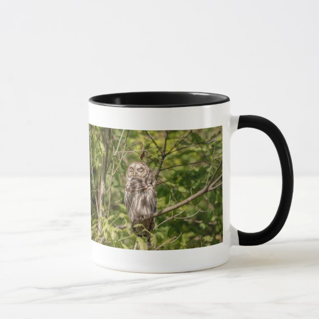 Caneca Sleepy Barred Owl (Direita)