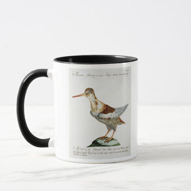 Caneca Snipe, c.1767-76 (a gravura colorida mão) (Esquerda)