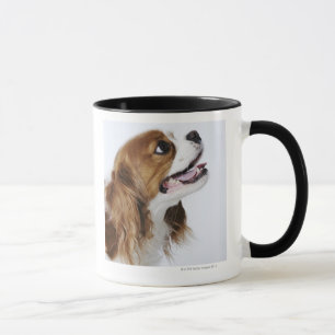 Caneca Spaniel de rei Charles descuidado, vista lateral