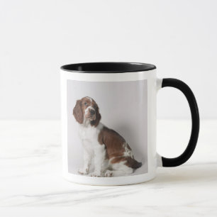 Caneca Spaniel de Springer