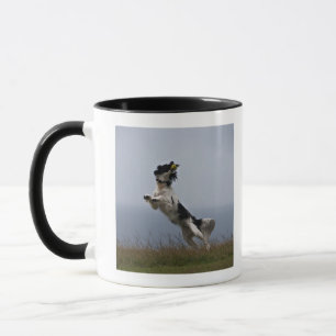 Caneca Spaniel de Springer preto e branco que joga com