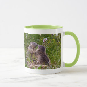 Caneca Sparring Partners