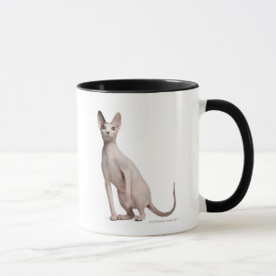 Caneca Sphynx (13 meses velho)