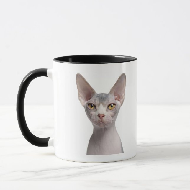 Caneca Sphynx (7 meses velho) (Esquerda)