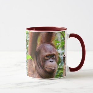 Caneca Sr. Bernie Orangutan