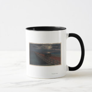 Caneca St Petersburg, FL - vista enluarada de Gandy