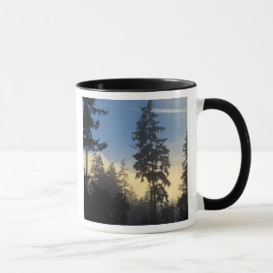 Caneca Stanley Park, floresta, nevoeiro da camada marinha